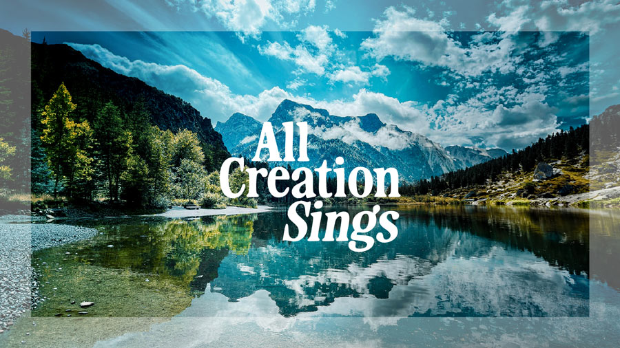 City Life - All Creation Sings